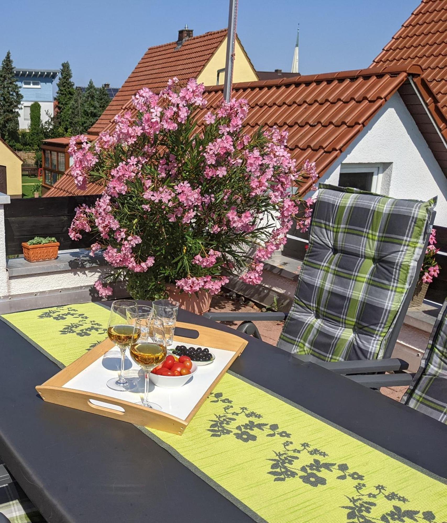 Hortensie Speyer Bagian luar foto