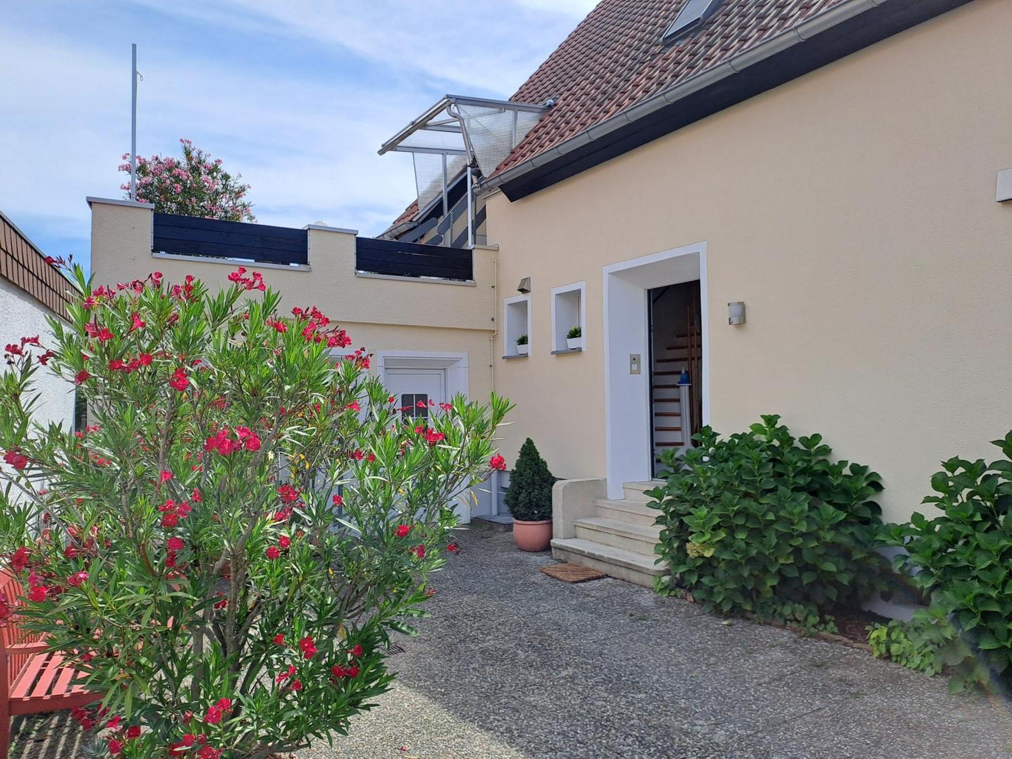 Hortensie Speyer Bagian luar foto