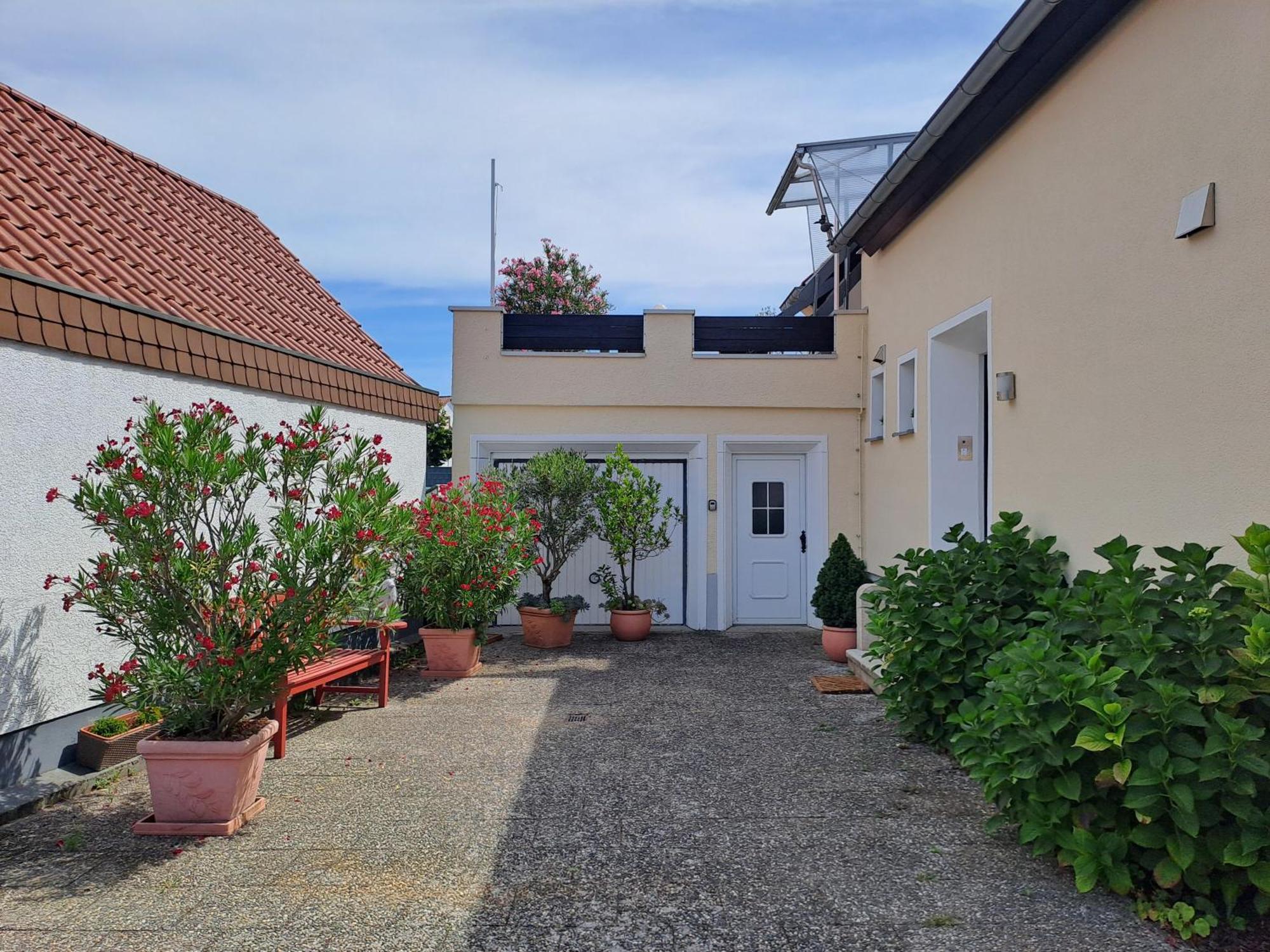 Hortensie Speyer Bagian luar foto
